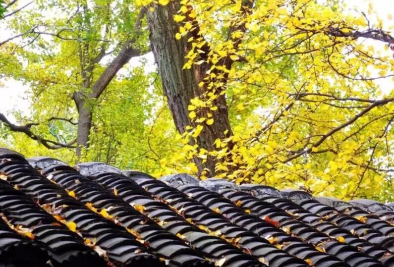 換套屬於自（zì）己（jǐ）心情的門窗，讓你愛上（shàng）這個秋天（tiān）。