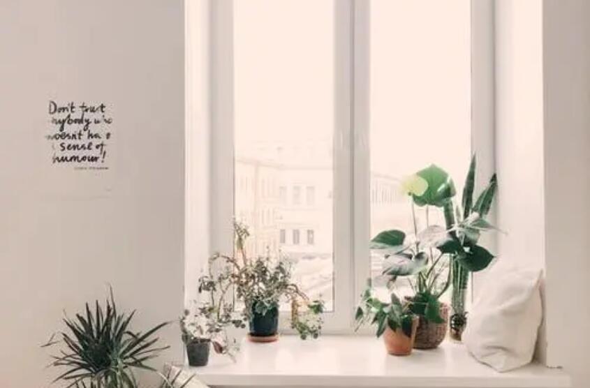 鋁合金門窗加盟代理商運營成功技巧!